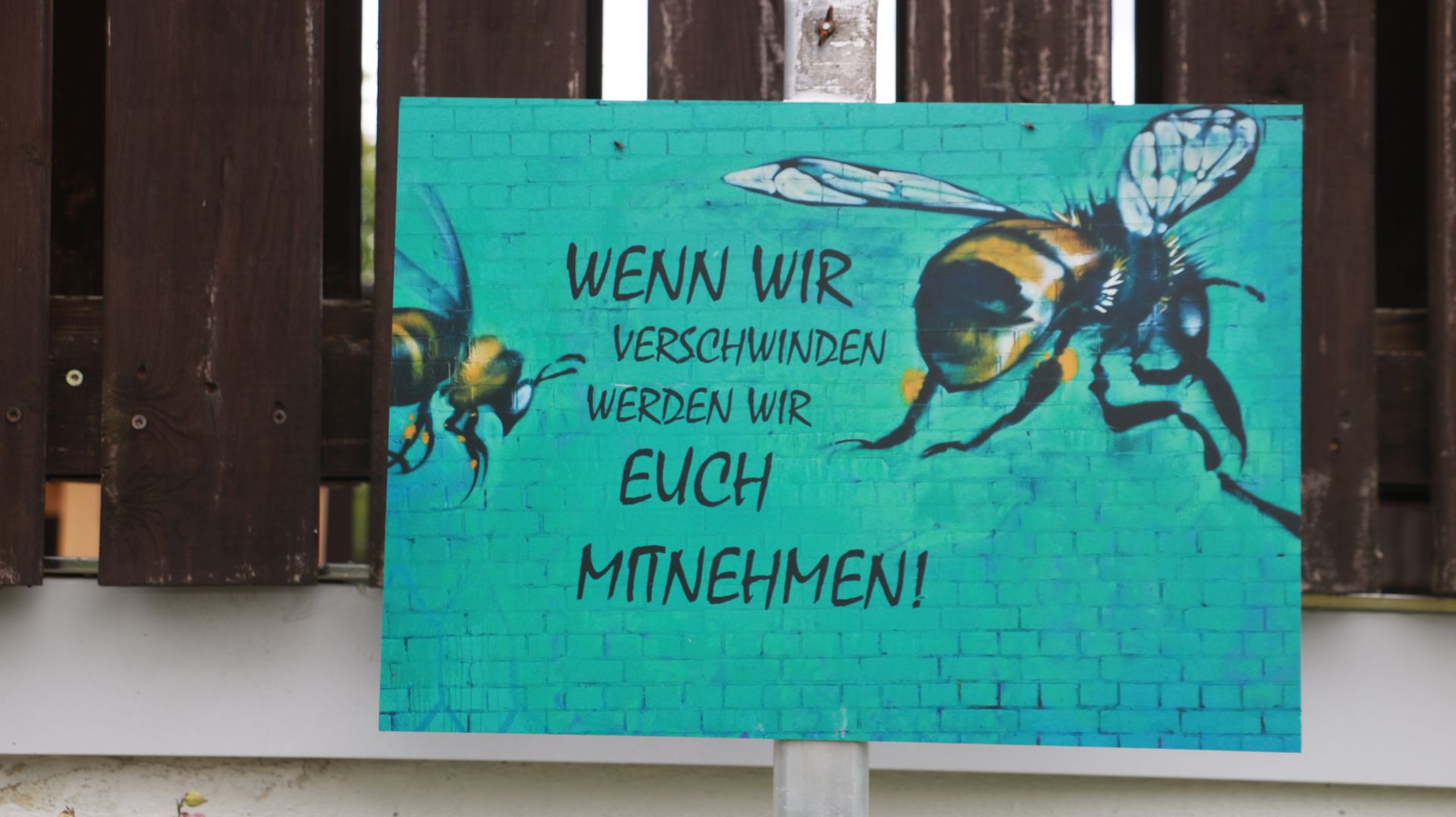 Wildbiene 5